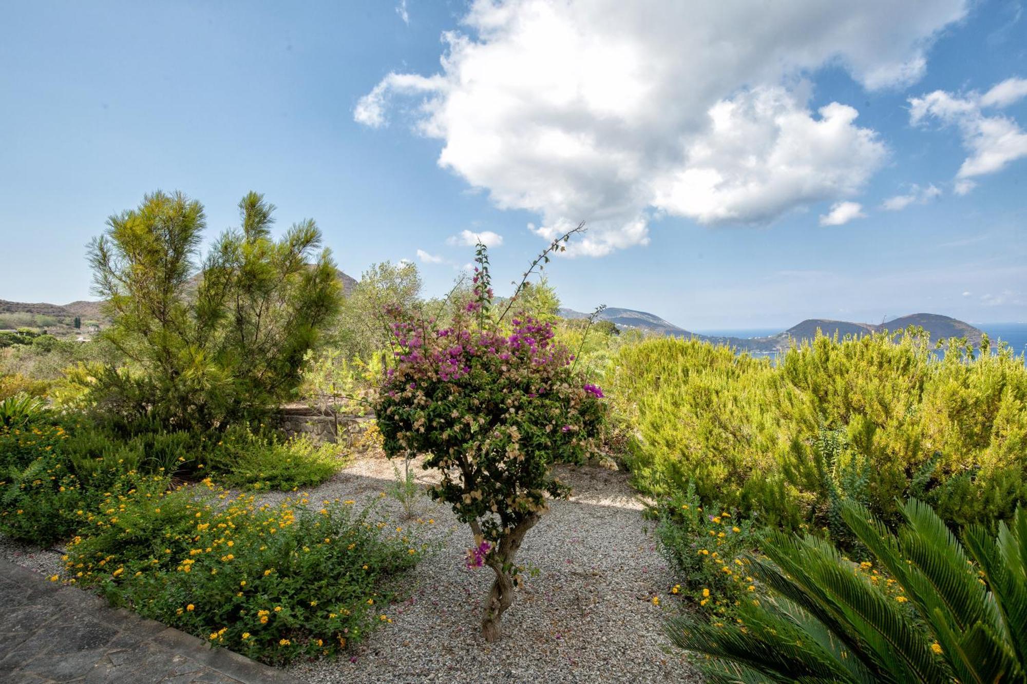 Sealight Villa Lipari - Vista E Piscina Exterior foto