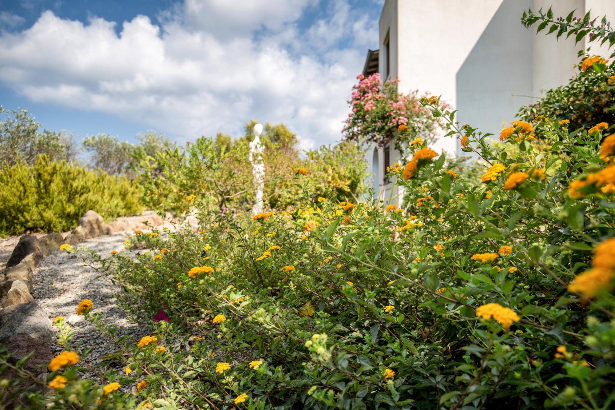 Sealight Villa Lipari - Vista E Piscina Exterior foto